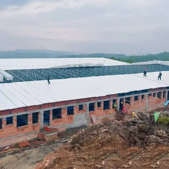 Steel Structure Livestock And Poultry Houses Steel Structure Livestock And Poultry Houses